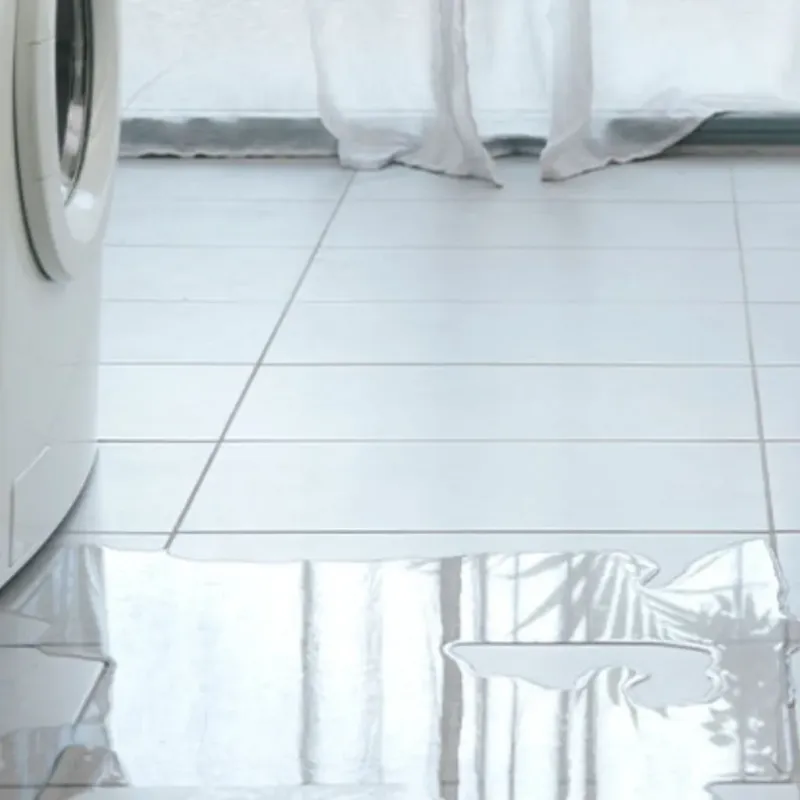 Appliance Leak Cleanup in Panthersville, GA