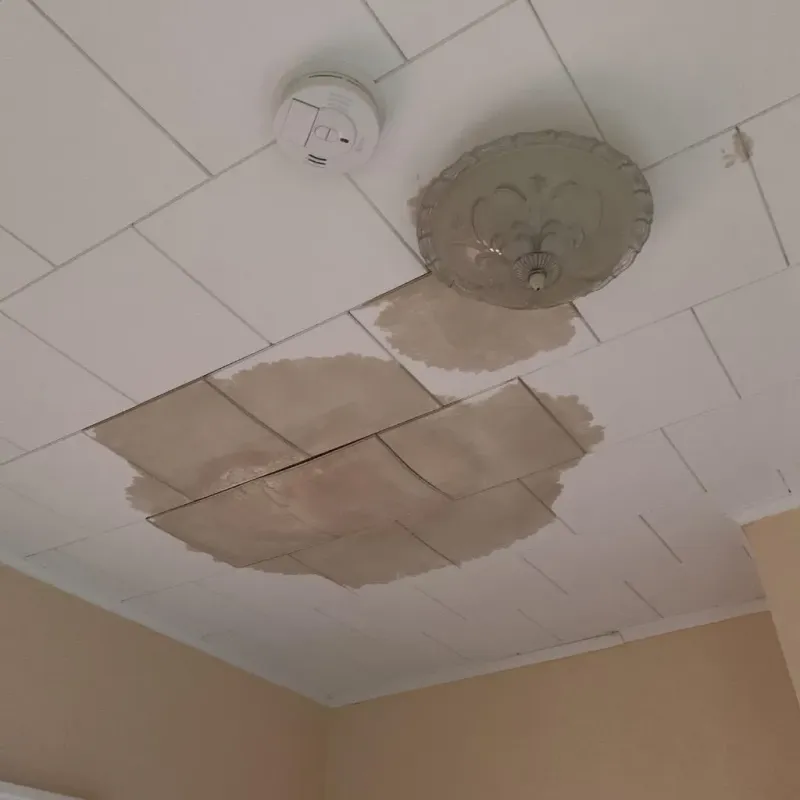 Ceiling Water Damage Repair in Panthersville, GA