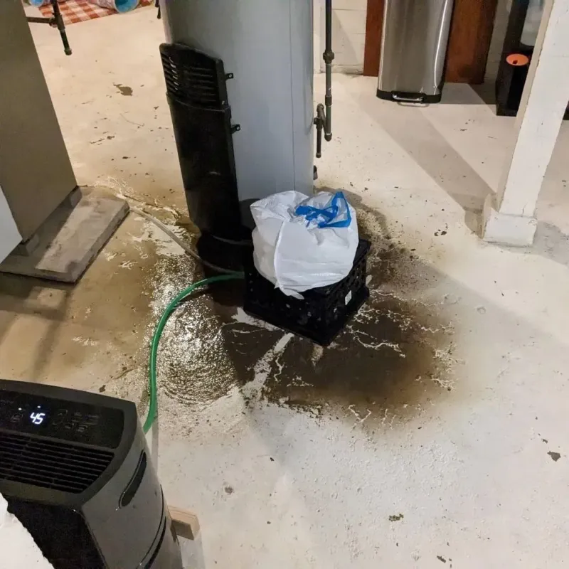 Sewage Backup Cleanup Service in Panthersville, GA